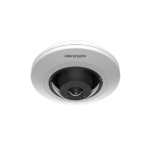 OJO DE PEZ IP 5MP L FIJO VISTA PANOR 180